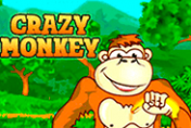 Crazy Monkey
