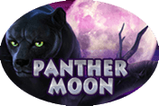 Слот Panther Moon бесплатно в клубе Вулкан