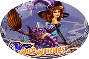Игровой автомат Wild Witches – в клубе Вулкан 24 играйте онлайн