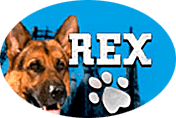 Игровой автомат Rex (Рекс) от Вулкана